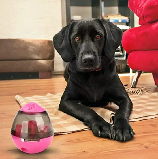 STAJOY Treat Ball Dog Toy