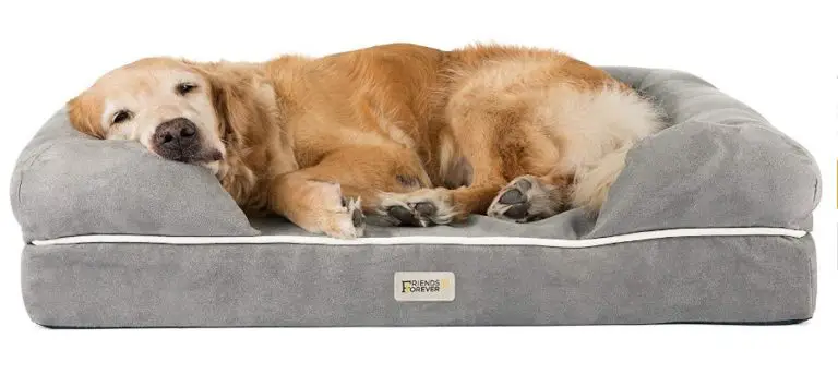Dog Bed Lounge Sofa