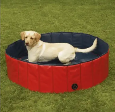 Foldable Pool for Dogs