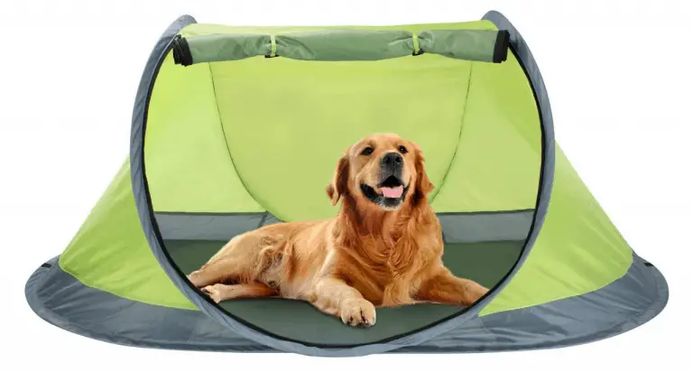 Outdoor Dog Tent