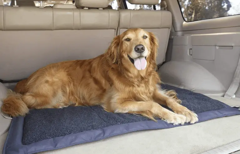 Travel Portable Dog Bed