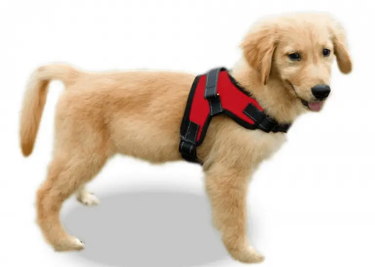 Copatchy No Pull Reflective Adjustable Dog Harness with Handle