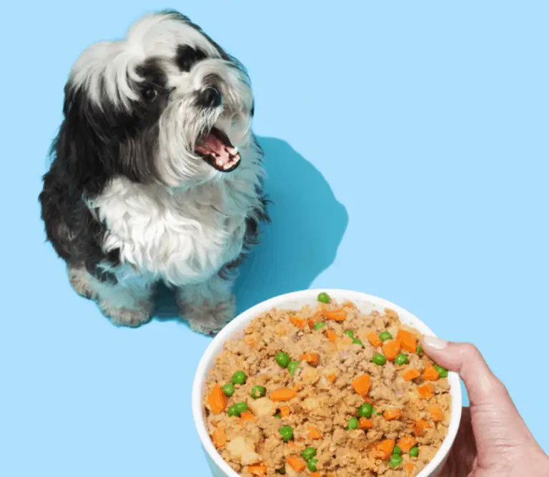 Human Grade Dog Food - PetPlate